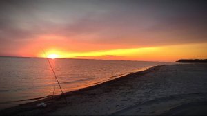 КАМБАЛА. Рыбалка на Балтийском море с шашлыками. п. Поваровка Калининградская область.