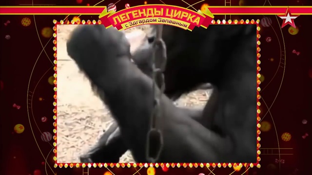 Эдгард Запашный снял фильм про Олега Зубкова смотреть онлайн