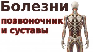 ? Болезни позвоночника и суставов - общая концепция