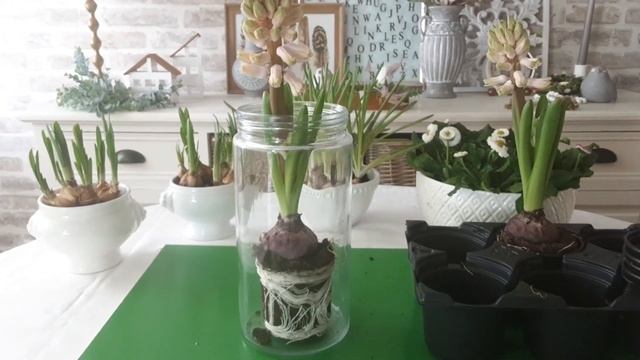 ??ЦВЕТЫ В КУХОННОЙ ПОСУДЕ / весенний  ДЕКОР смотреть онлайн