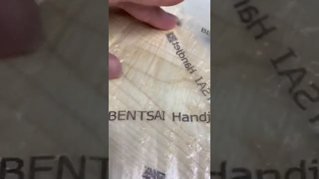 Bentsai handjet print on plastic bag