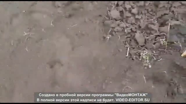 Ландшафт  с нуля на приусадебном участке своими руками )