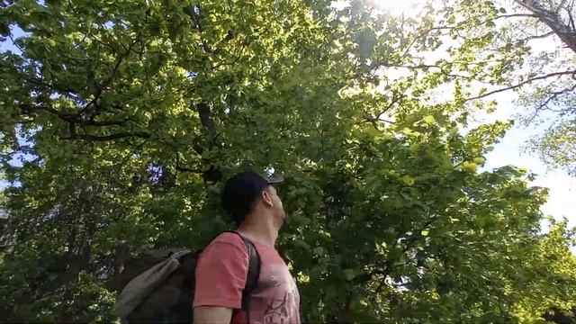 Истринское водохранилище. ПВД. Обзор горелок.