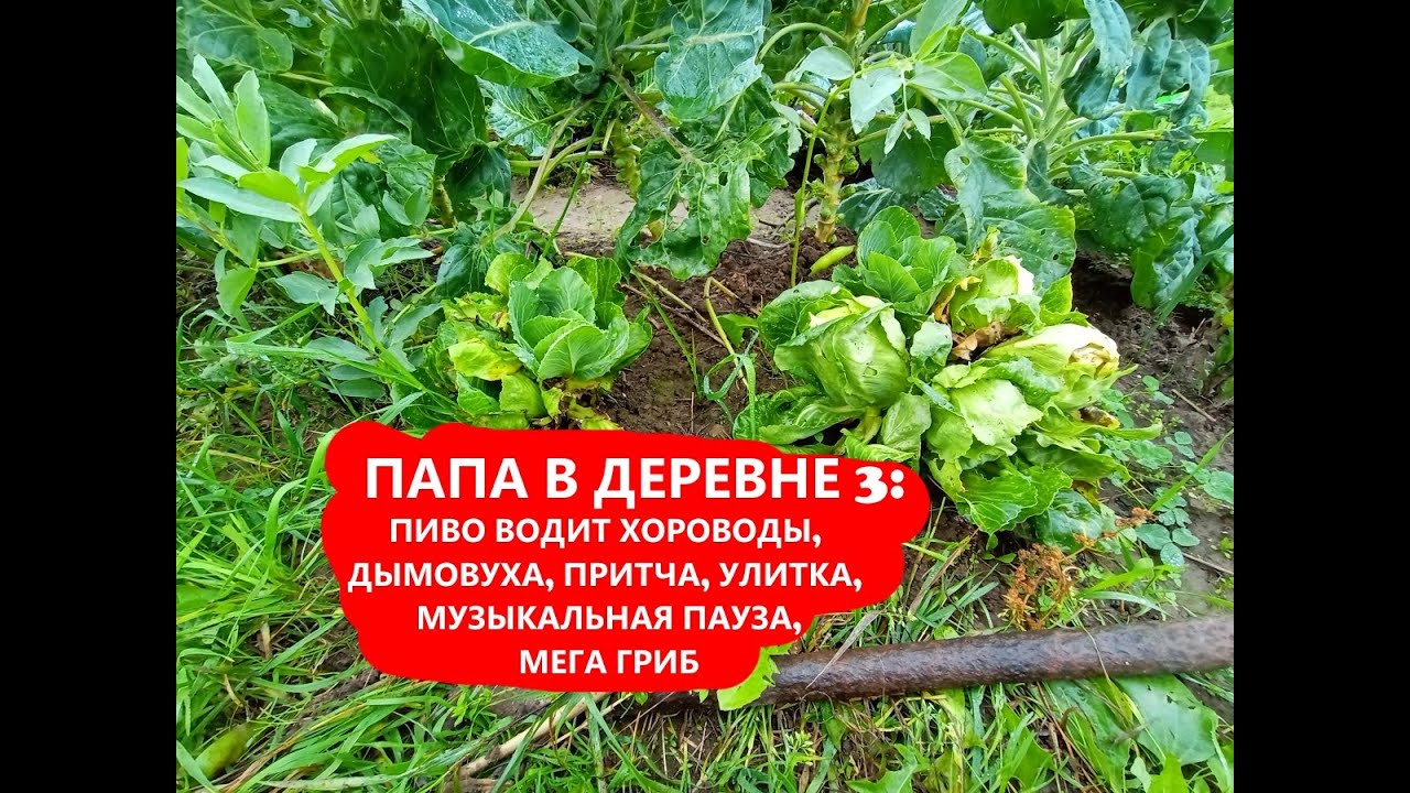 Папа в деревне 3: волшебный напильник, музыкальная пауза, притча о бумаге, пиво водит хороводы