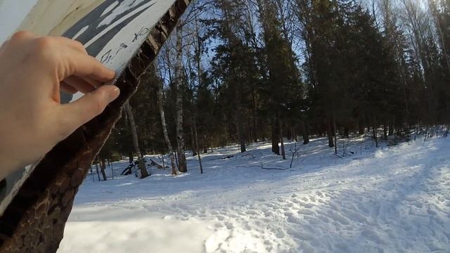 На что способен паралет? Путешествие по воздуху и земле на трайке!