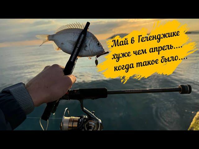 Май в Геленджике хуже чем апрель.... когда такое было....