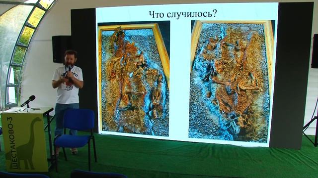 Тафония, палеогеография Шестаковского комплекса: что мы знаем об экосистеме илекской свиты?
