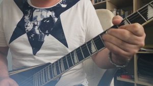 Колхозный панк соло Сектор газа