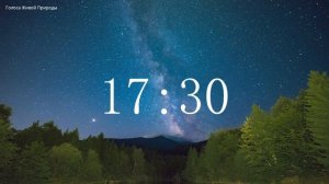 Обратный отсчет Таймер 35 минут. Звуки живой природы / Countdown. Timer 35 min. #ГолосаЖивойПрироды