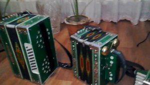 Авыл кое.Тальянда  мастер гармоней Дамир обый