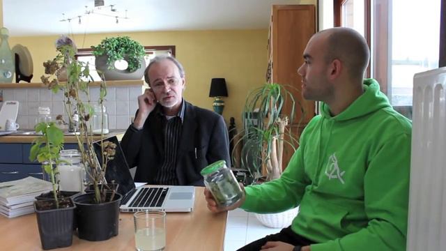 Stevia - De plant.mov смотреть онлайн