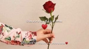 Дала декъал войла хьо (Де-Ваш♥️)