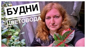 Будни цветовода _ Получаю и отправляю посылочки _ Новая Аглаонема _ Мой аквариум _ 26.05.2022г..mp4