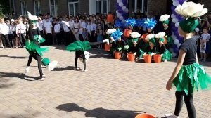 Барбарики Flowers