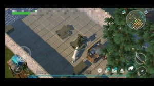 Player 8176 ldoe