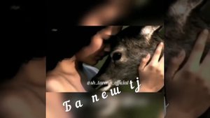 шахло сайфиддинова хушбахти дар зиндаги таронаи нав
