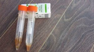 Растворил касторовое масло. Подкормка, удобрение, опрыскивание по листу касторкой.