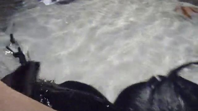 Огромные скаты - опасная красота!!!! смотреть онлайн