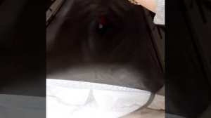 Манеж-кровать Noony Friend