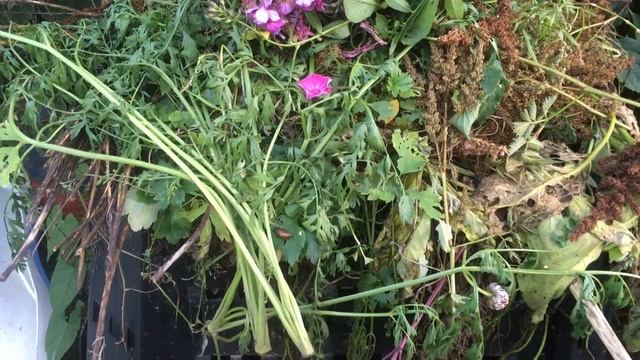 Как сделать хороший компост быстро смотреть онлайн