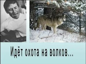 Охота на волков.