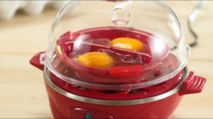 Best Dash Rapid Egg Cooker