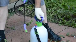 Как убрать сорняки на плитке ?