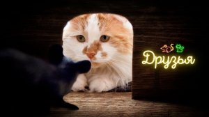 Из-за чего Кошка и Мышь стали врагами