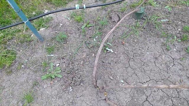 Пример применения запасной плодовой стрелки смотреть онлайн