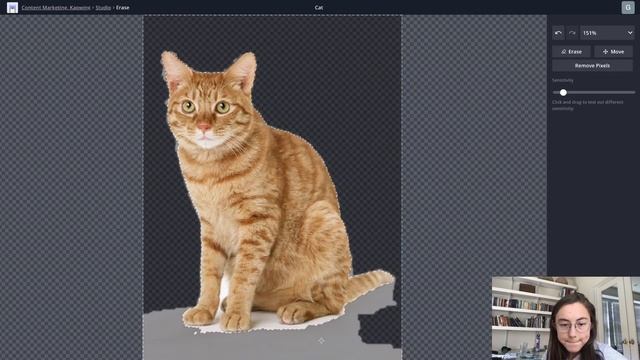 How to Make PNGs ONLINE Free PNG File Maker