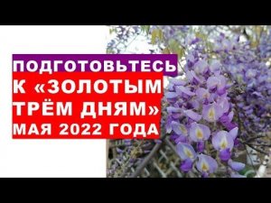 Подготовьтесь к трём "золотым дням" мая 2022 года