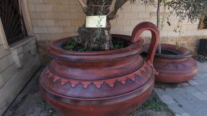 Толстый Мыс✨Геленджик✨29.07.2024