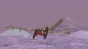 Покупка Лаверны и Немайна ● Halloween ● Star Stable Online