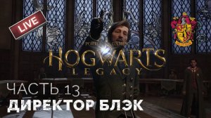 Тайна гоблинов Ранрока, триптих Сэллоу, спасение Натсай Онай. Хогвартс: Наследие. Прохождение #13