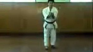 Сэйюнтин ката, Годзю рю карате до