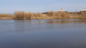 ПИКА в масштабе 1:20 на воде 17 мая 2023 г.