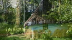 Ой, летіли дикі гуси...