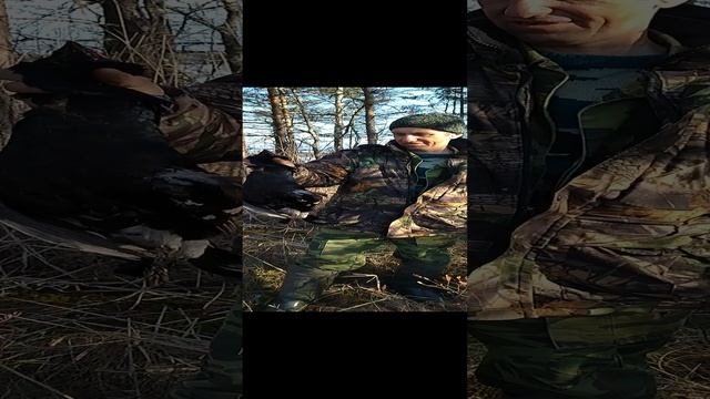 Весенний Трофей. Тетерев. смотреть онлайн