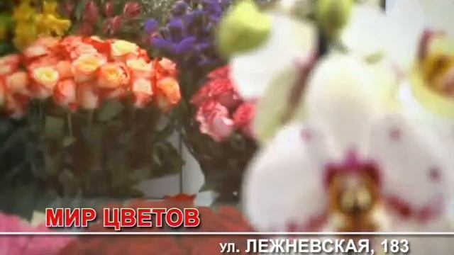 Мир цветов - цветы в Иваново, розы оптом смотреть онлайн