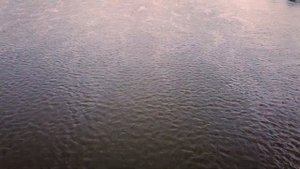 Паромная переправа через река Вятка (Гоньба - Никольское)