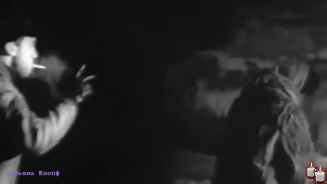 Я ПОЛЯ ВЛЮБЛЁННЫМ ПОСТЕЛЮ - В.Высоцкий смотреть онлайн