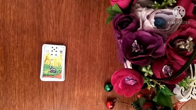 Карта 23 "КРЫСЫ". Значение и сочетания карт Ленорман. Малая колода. смотреть онлайн