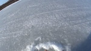 Ловля карпа на Межуре зимой на жерлицы