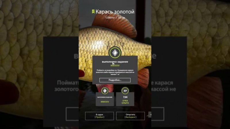 золотой карась великолепен #подпишись #russianfishing4 #рыбалка #русскаярыбалка4 #стрим