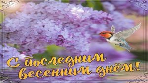С Последним днём Весны! Красивое поздравление с последним днем весны!