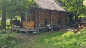 Горный Алтай 2021| Сад пионов | Локация для съёмок | Релакс