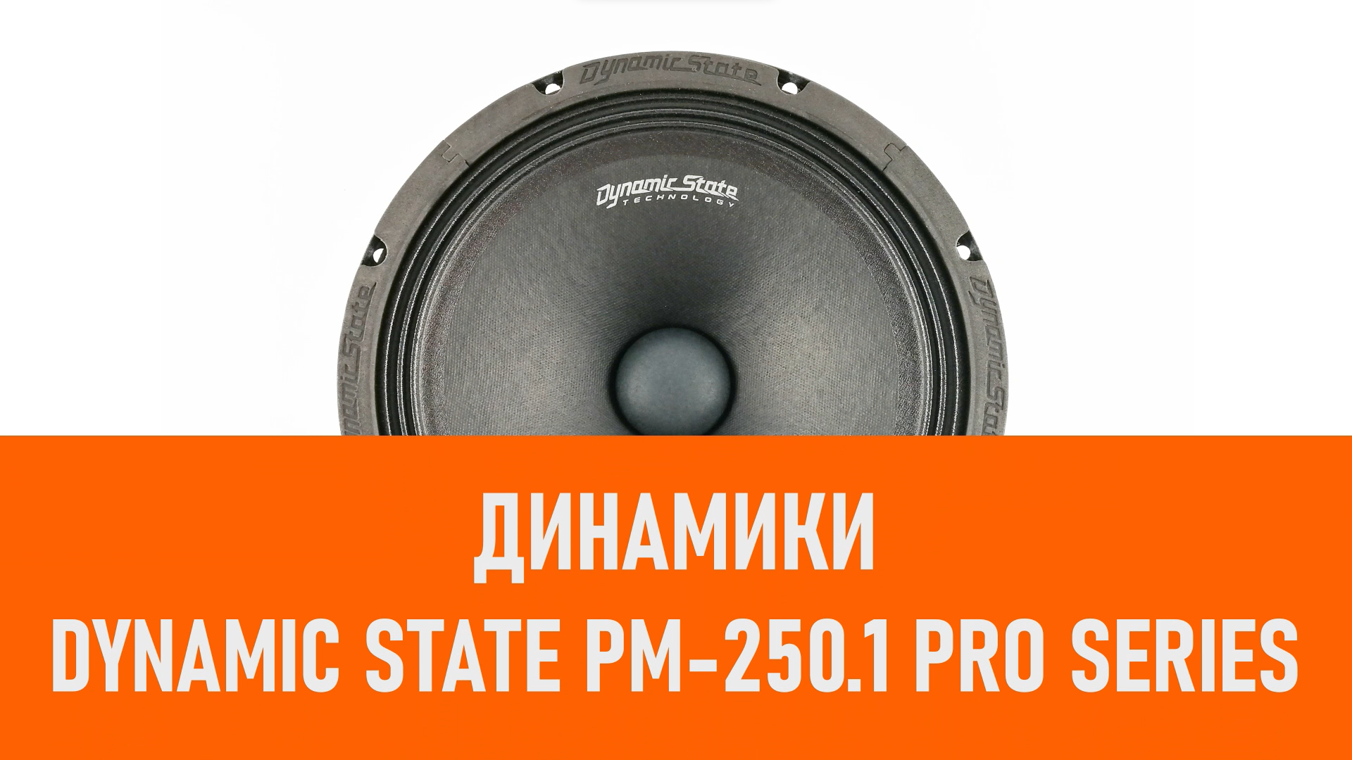 Распаковка динамиков Dynamic State PM-250.1 PRO Series