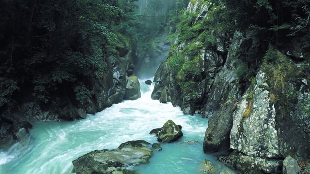 Природа в хорошем качестве смотреть онлайн