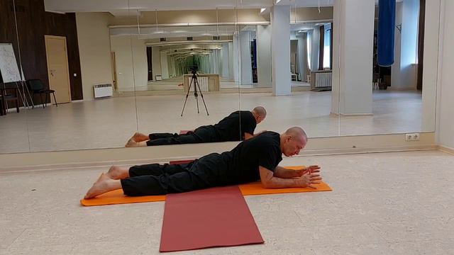 поза Саранчи. Связка Сфинкс- Саранча.