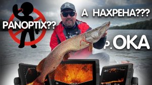 ТРОФЕЙНАЯ рыбалка БЕЗ PONOPTIX на ОКЕ!!! КАК и ГДЕ искать рыбу на оке без поноптикса?